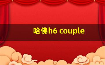 哈佛h6 couple